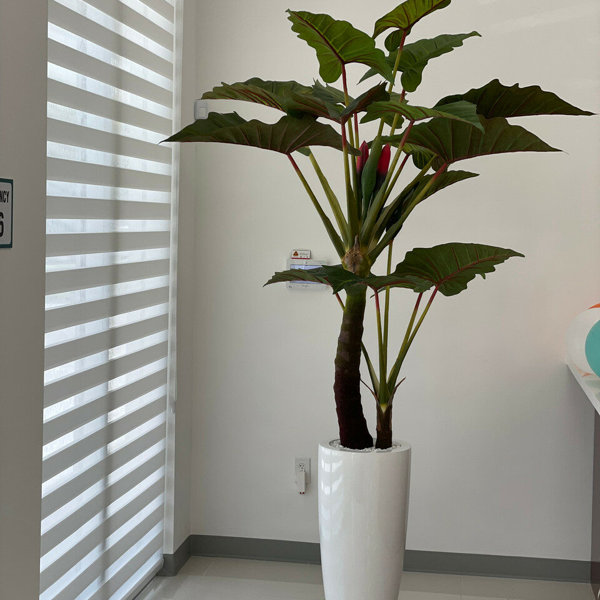 CFADesignGroup 78'' Faux Elephant Ear Plant Wayfair